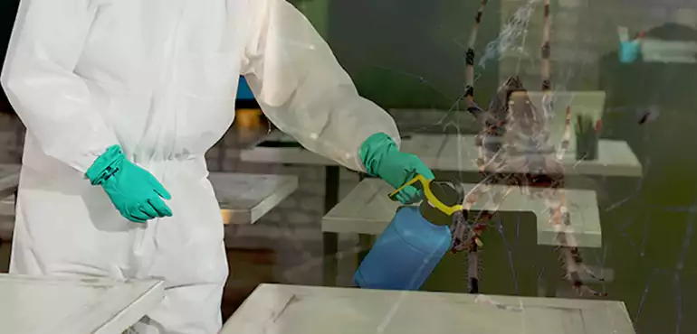 Why Buyers Still Want Homes With Pest Infestations in Des Moines, IA?