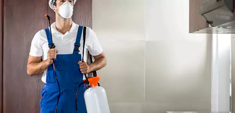 Why Des Moines Homeowners Choose Us When Pests Make Selling Difficult
