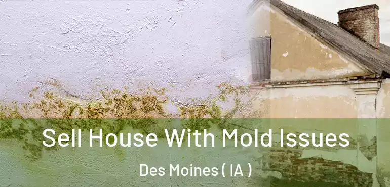  Sell House With Mold Issues Des Moines ( IA )